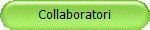Collaboratori